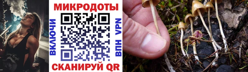 Псилоцибиновые грибы GOLDEN TEACHER  KRAKEN зеркало  Ачинск  продажа наркотиков 