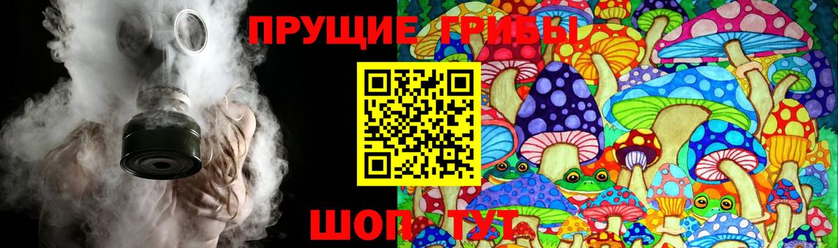 Псилоцибиновые грибы ЛСД Ачинск