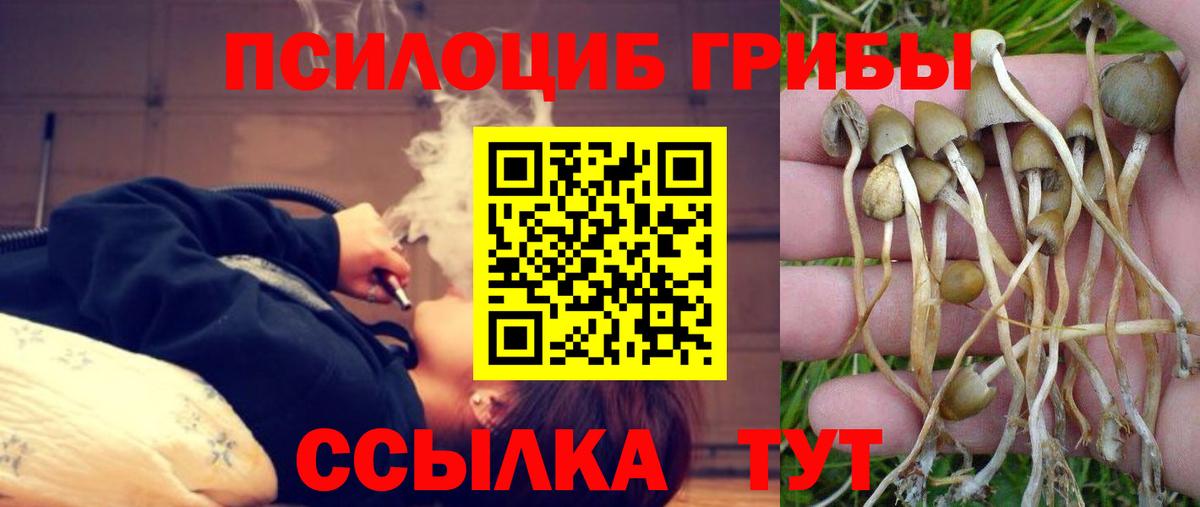 Галлюциногенные грибы мухоморы Ачинск